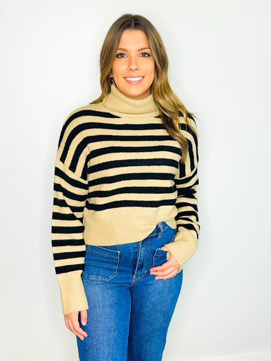 Jenny Striped Turtleneck Sweater | Taupe/Black